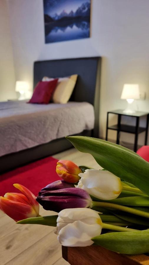 Apartment Stradun In The Heart Of Old City Dubrovnik Luaran gambar